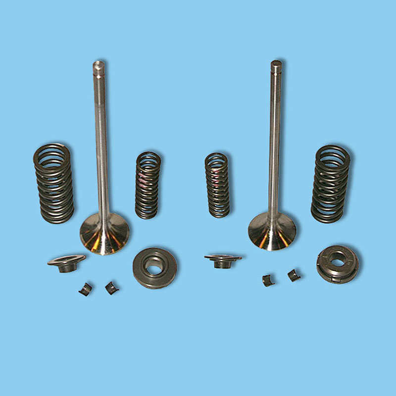 Genuine MTU diesel engine spare part intake valve